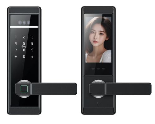 Qleung New Design Tuya Door Lock Face Recognition Palm Print Fingerprint Password Card Key Unlock Smart Home Door Lock
