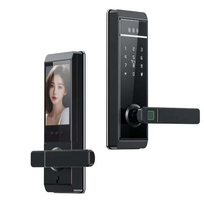 Qleung Tuya Face Recognition Palm Print Fingerprint Password Card Key Unlock Smart Home Door Lock