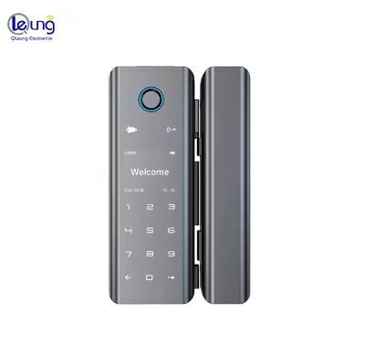 Qleung G9S Tuya APP Password Code Card Key Fingerprint Smart Home Door Lock For Glass Door