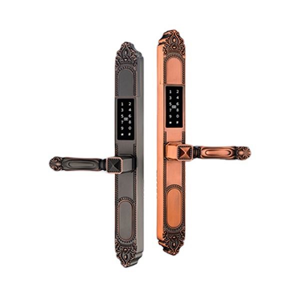 Zinc Alloy Fingerprint Door Lock with 5 Unlock Ways for Apartments Offices