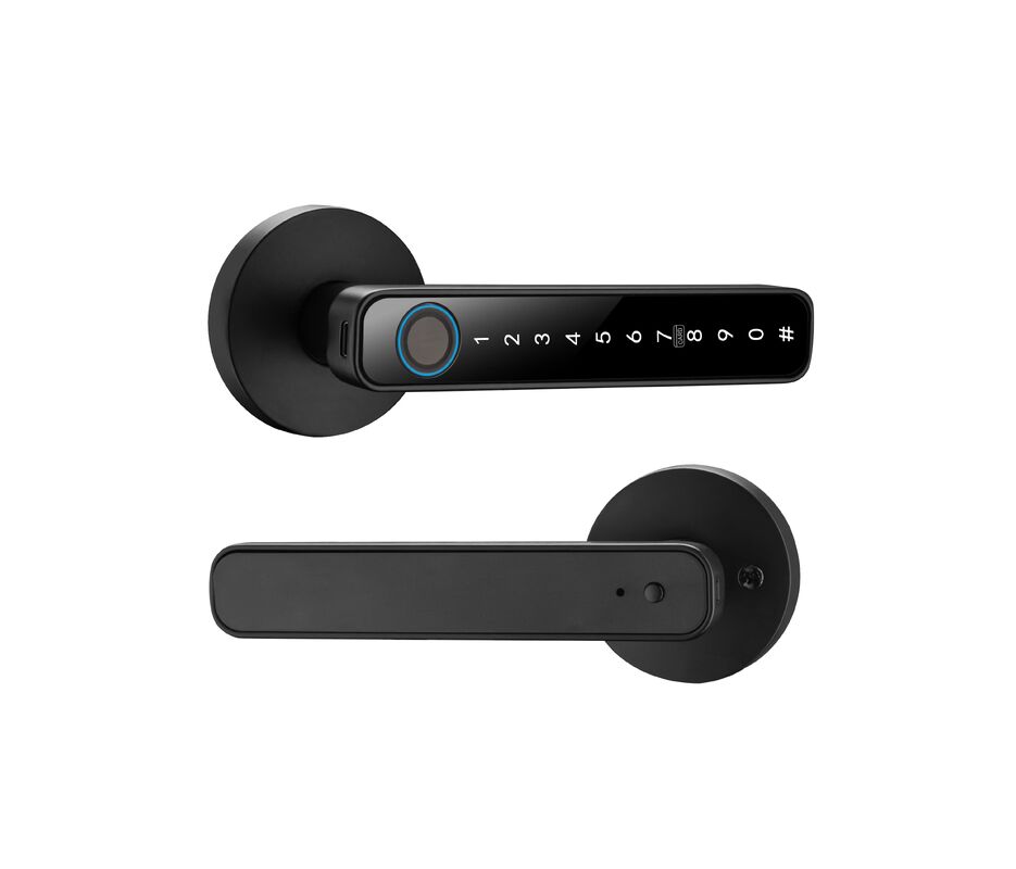 Qleung Smart Handle Lock S604N Fingerprint Password Card Key Unlocking Tuya Smart Home Lock