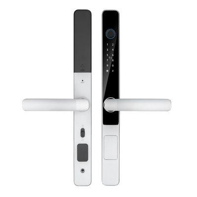 IP65 방수 스마트 Tuya Wifi 원격 제어 TTlock 앱 디지털 문 잠금
