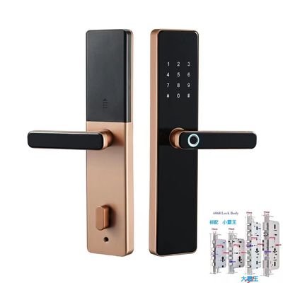 6068 Mortise TTlock Wifi Tuya 문 잠금