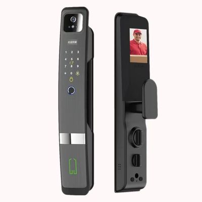 Qleung S924MAX 생체 지문 HD 카메라 디지털 리모컨 스마트 도어 잠금