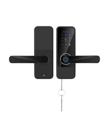 S810 지능형 지문 잠금 Wifi 키 간단한 문 잠금 Tuya 지문 TTlock 스마트 홈 문 잠금