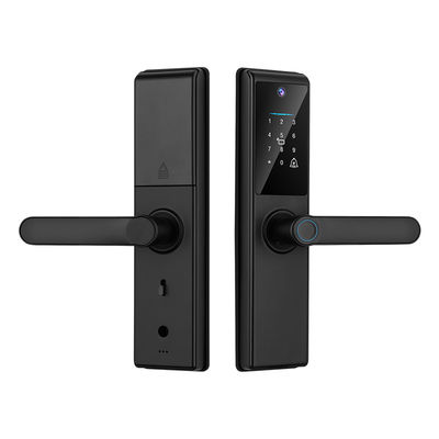 Qleung Tuya Wifi APP 스마트 문 손잡이 원격 제어 지문 코드 카드 키 S821Max 홈 카메라