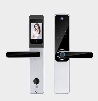 Qleung Tuya Wifi 앱 카메라 잠금 생체 지문 인식 코드 IC 카드 키 S802Pro 홈