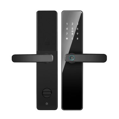 Qleung S819 알루미늄 문 지문 와이파이 활성화 Tuya TTlock With Password Key Card for Home